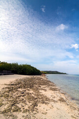 The white sands of Menjangan Island