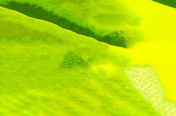 Abstract green leaves pattern  texture surface background, Illustration art suitable for any decoration work project.