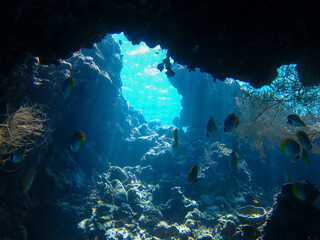 The underwater beauty of Menjangan Island