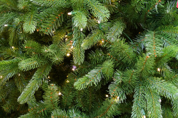 Close up on Christmas tree with light