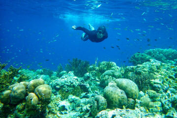 Naklejka na ściany i meble Scuba diver and coral reef