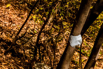 White medical face mask tied onto tree