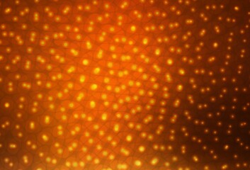 Dark Orange vector background with bubbles.
