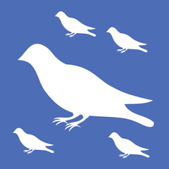 illustration of a dove