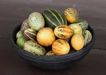 Organic Fresh Healthy Vegetable Yellow Cucumbers or Yellow Pumpkin on Wooden Background