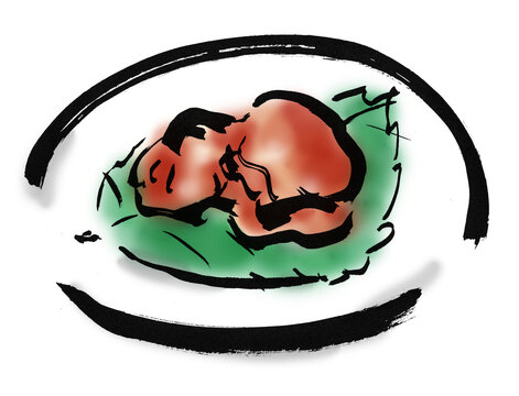 すっぽん Images Browse 151 Stock Photos Vectors And Video Adobe Stock