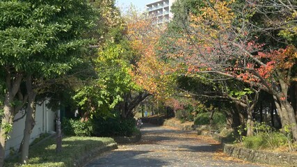 行船公園 平成庭園 紅葉 Wall Mural Wallpaper Murals Kawamura Lucy