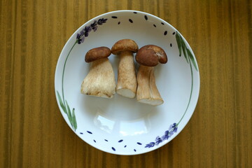 porcini mushrooms on a plate on the table