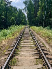 Obraz premium railway in the forest