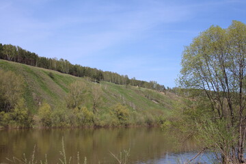 river Bank by the lake with green grass and forest on the hill in spring