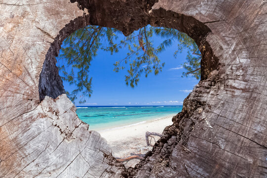 Plage de l&rsquo;Hermitage vu &agrave; travers un coeur de bois