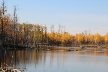 Colours By The Pond, Elk Island National Park, Alberta