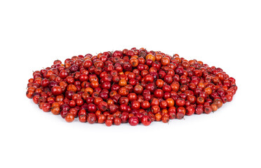 Indian Fruit Red Berry Also Know as Bor, Bora or Bore Isolated on White Background