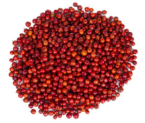 Indian Fruit Red Berry Also Know as Bor, Bora or Bore Isolated on White Background