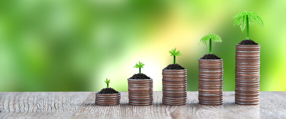 Pile of coins is stacked in a graph shape with sapling of a growing tree for money saving ideas and financial planning insurance.
