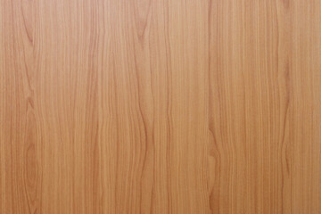 light wood abstract texture background door panel