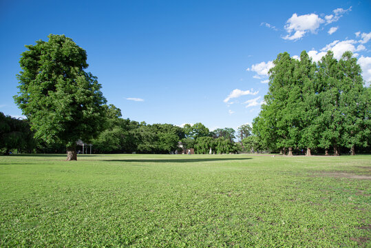 青空と緑が鮮やかな公園