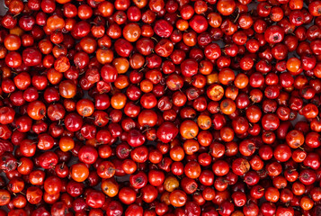Indian Fruit Red Berry Also Know as Bor, Bora or Bore