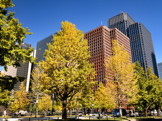 東京都　丸の内オフィスビル街とイチョウ並木