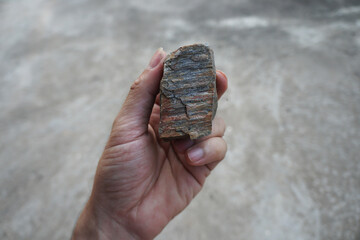  Hand holding  a raw gneiss rock.
