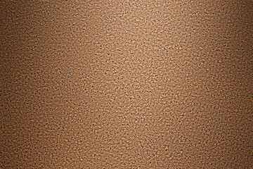 closeup texture of cork wood