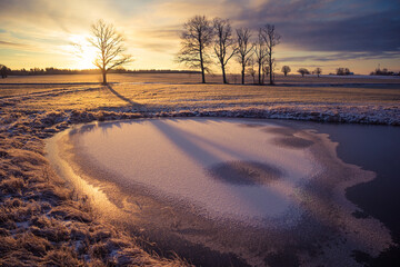 A beautiful frozen pond in the rural scene during the morning golden hour. A winter scenery of Northern Europe. Early winter lanscape with trees and ice in the pond.