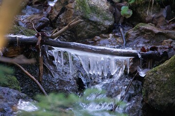 Eiszapfen über Bach im Wald