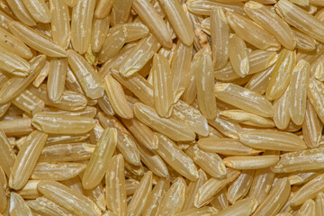 raw rice seeds in detail