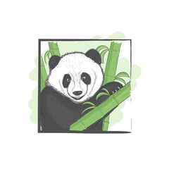 Hand drawn panda animal illustration