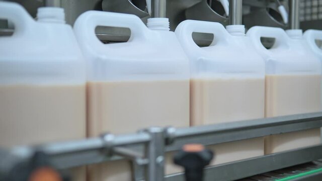 white plastic containers with liquid eggs yolk conveyor food production