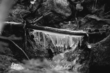 Eiszapfen über Bach in schwarz weiß