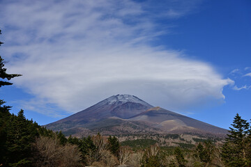 Fototapeta premium Late autumn in the fog