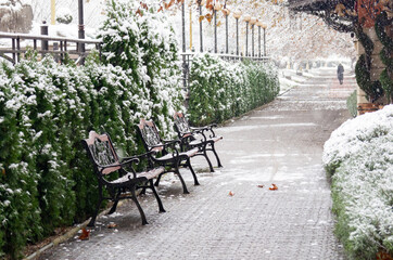 Benches, alleys, trees in the park, covered with the first snow. snow in november