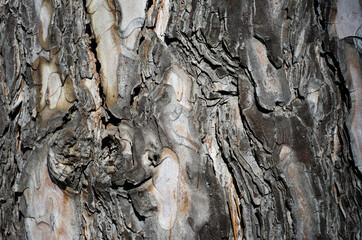 texture