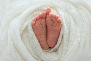 Foot of the newborn baby, tenderness. copy space in winter concept