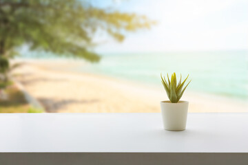 Back view of white desktop with decorative plant, Blurry sea beach view background.