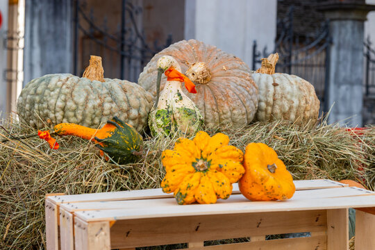 365 Best Valle Vigezzo Images Stock Photos Vectors Adobe Stock