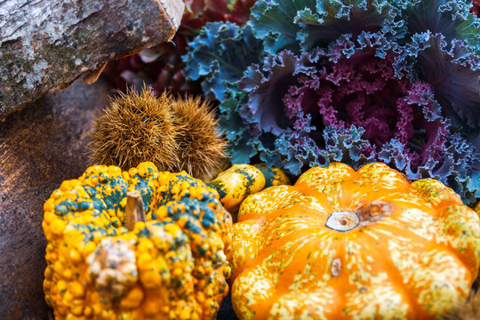 365 Best Valle Vigezzo Images Stock Photos Vectors Adobe Stock