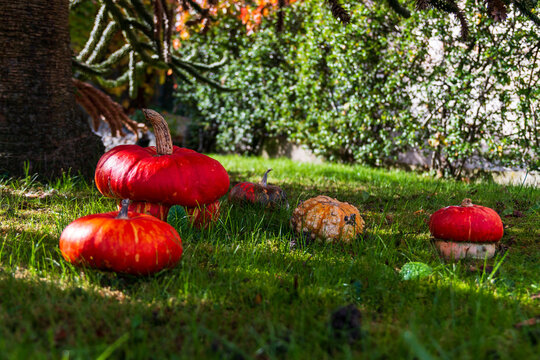 365 Best Valle Vigezzo Images Stock Photos Vectors Adobe Stock