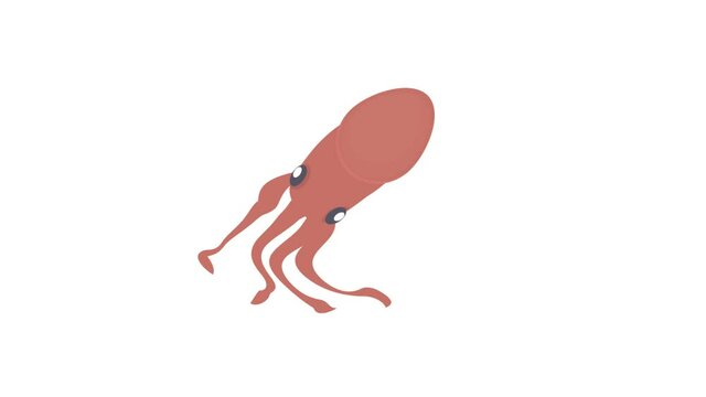 Octopus. Animation of a squid with tentacles, alpha channel enabled. Cartoon