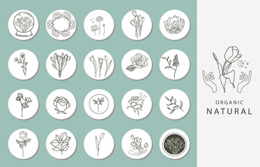 Icon of instagram highlight cover with flower, magnolia, tulip for social media