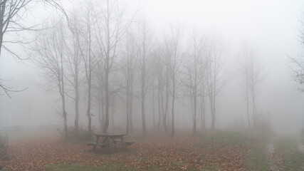 Obraz na płótnie Canvas A table and bench in an autumn scene forest with fog