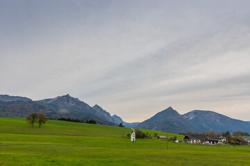 green meadow and top mountains in the background