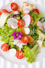 delicious spring and summer vegetable salad