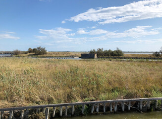 The Valli di Comacchio, fish basin of Comacchio, Comacchio, Italy