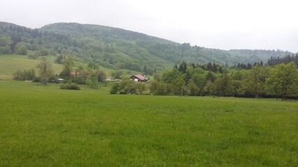 Fototapeta premium Polska wies, cicha i spokojna