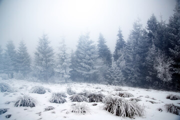 Trees covered with hoarfrost and snow in winter mountains - Christmas background