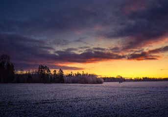 Fototapeta premium A beautiful, bright, colorful landscape of a winter sunrise. Bright sky and first snow. Winter scenery of a Northern Europe during the sunrise.