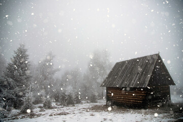 Dreamy winter landscape with small wooden hut in magic mist and snowfall. - Powered by Adobe