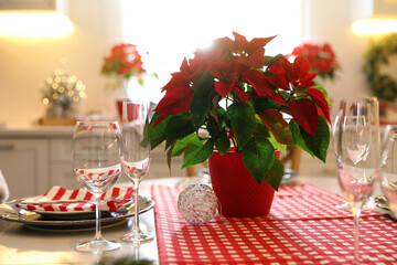 Beautiful Poinsettia and set of dishware on table in kitchen. Interior design